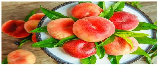 白凤水蜜桃品种介绍 | 农业问题