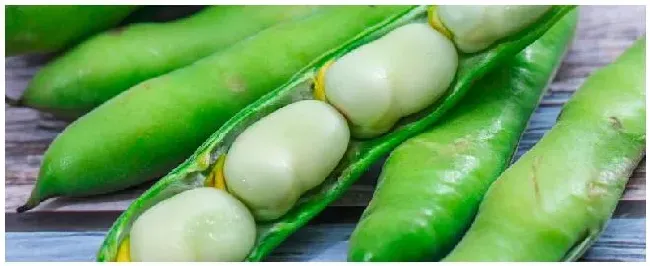 蚕豆壳可以做花肥吗 | 三农问答