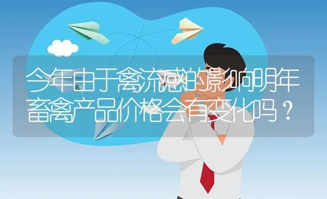今年由于禽流感的影响明年畜禽产品价格会有变化吗? | 养殖问题解答