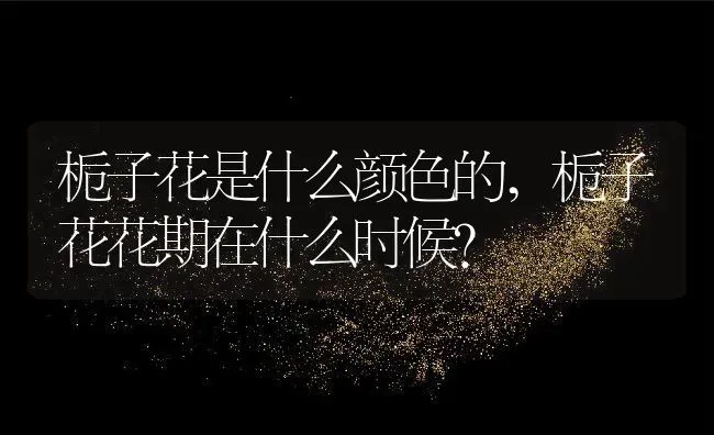 栀子花是什么颜色的,栀子花花期在什么时候？ | 养殖常见问题