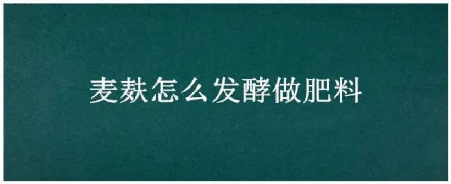 麦麸怎么发酵做肥料 | 农业常识