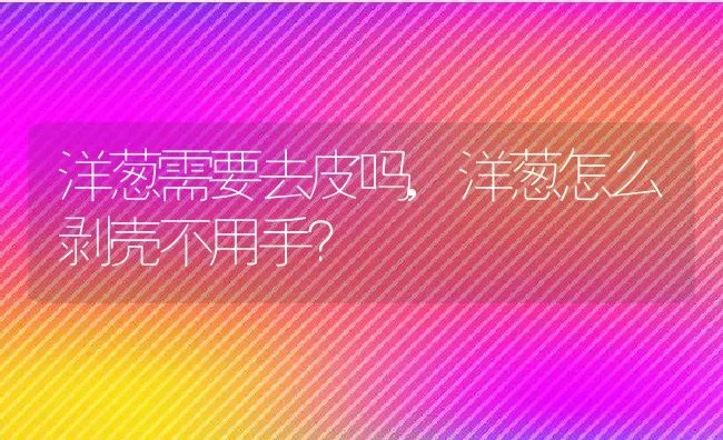 洋葱需要去皮吗,洋葱怎么剥壳不用手？ | 养殖常见问题