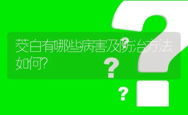 茭白有哪些病害及防治方法如何? | 养殖问题解答