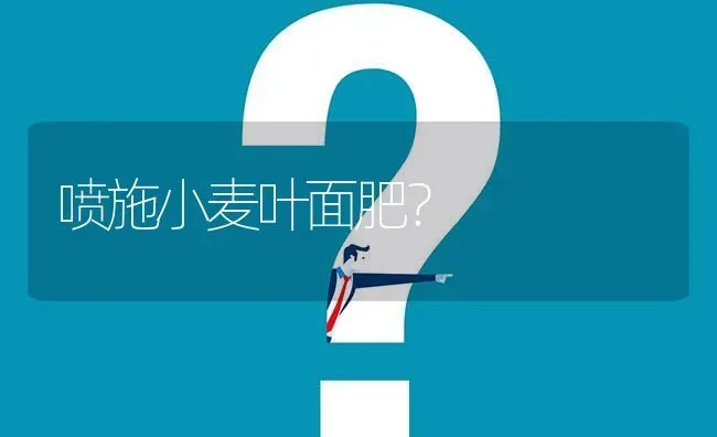 喷施小麦叶面肥? | 养殖问题解答