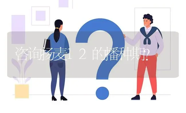 咨询扬麦12的播种期? | 养殖问题解答