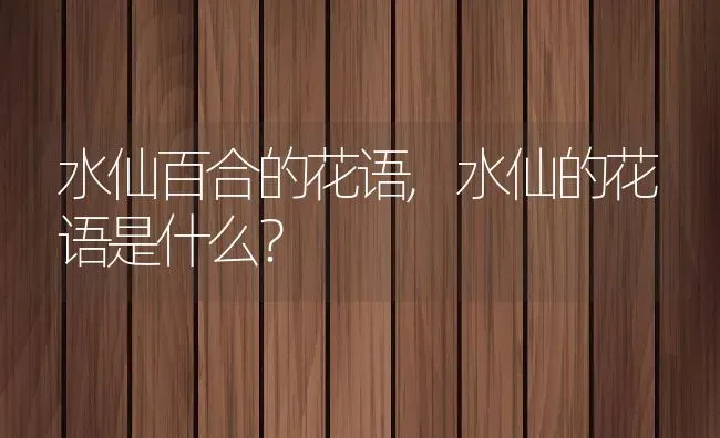 水仙百合的花语,水仙的花语是什么？ | 养殖常见问题
