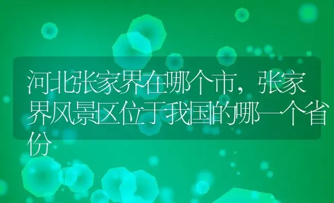 河北张家界在哪个市,张家界风景区位于我国的哪一个省份 | 养殖常见问题