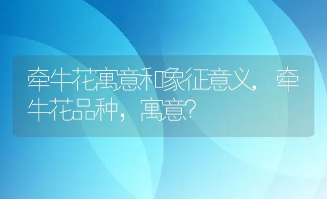 牵牛花寓意和象征意义,牵牛花品种，寓意？ | 养殖常见问题