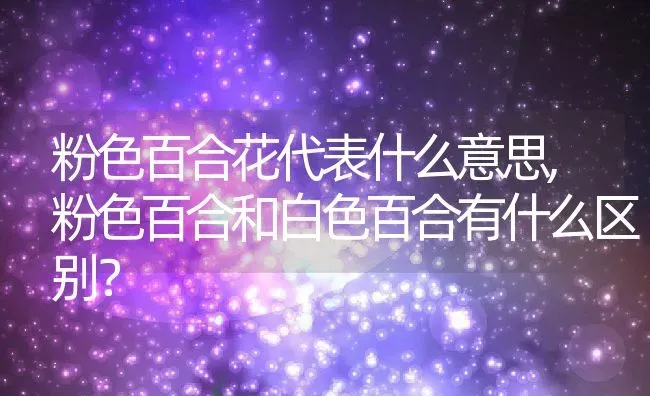 粉色百合花代表什么意思,粉色百合和白色百合有什么区别？ | 养殖常见问题