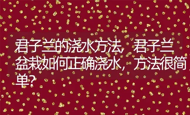 君子兰的浇水方法,君子兰盆栽如何正确浇水，方法很简单？ | 养殖常见问题