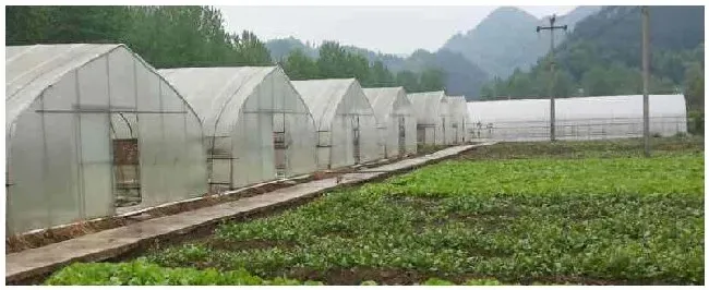 大棚膜10s是多厚 | 三农答疑