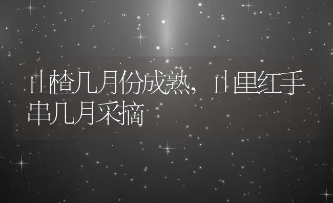 山楂几月份成熟,山里红手串几月采摘 | 养殖常见问题