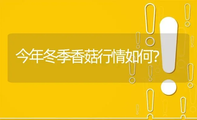 今年冬季香菇行情如何? | 养殖问题解答