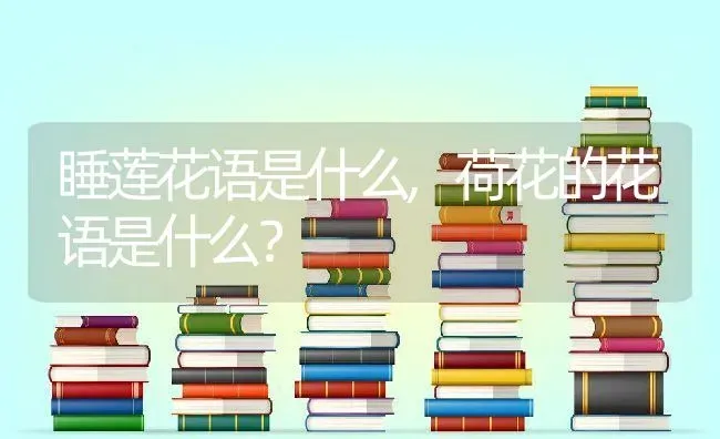 睡莲花语是什么,荷花的花语是什么？ | 养殖常见问题