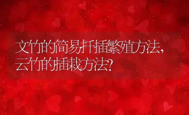 文竹的简易扦插繁殖方法,云竹的插栽方法？ | 养殖常见问题