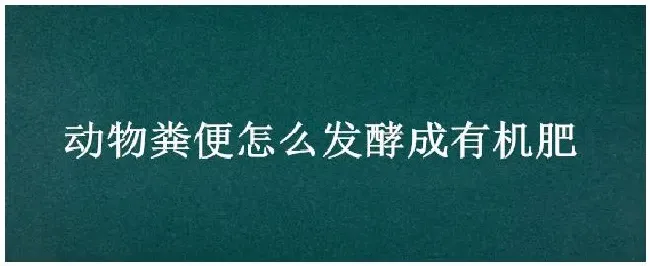 动物粪便怎么发酵成有机肥 | 农业问题