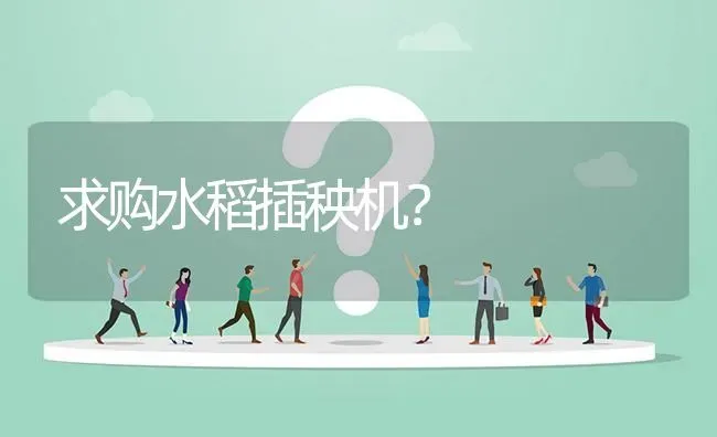 求购水稻插秧机? | 养殖问题解答