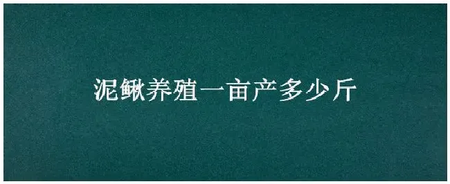 泥鳅养殖一亩产多少斤 | 农业答疑