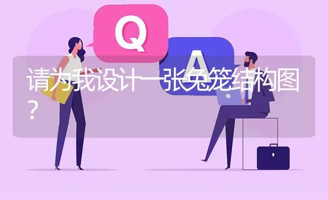 请为我设计一张兔笼结构图? | 养殖问题解答