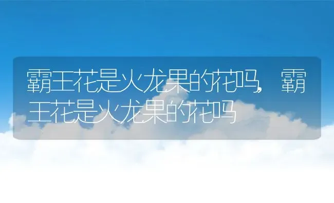 霸王花是火龙果的花吗,霸王花是火龙果的花吗 | 养殖常见问题