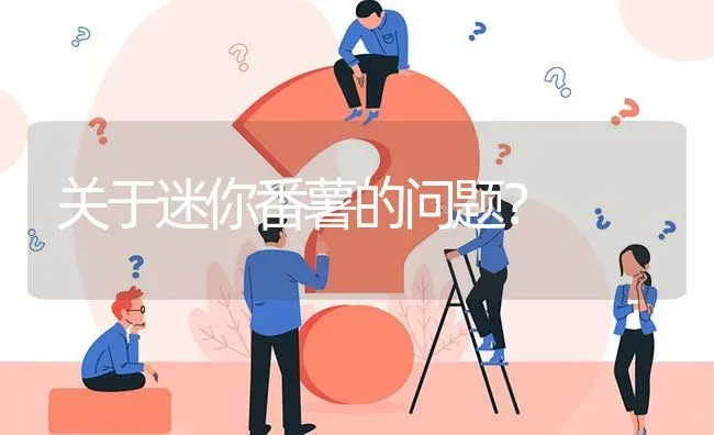 关于迷你番薯的问题? | 养殖问题解答