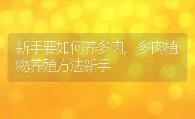 新手要如何养多肉,多肉植物养殖方法新手 | 养殖常见问题
