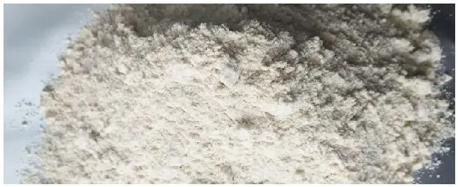 自发小麦粉可以做什么 | 科普知识