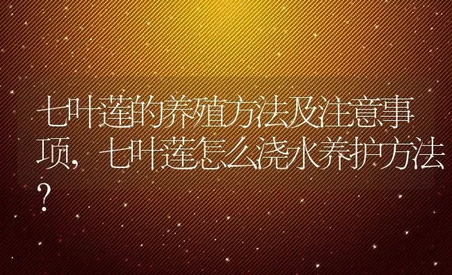 七叶莲的养殖方法及注意事项,七叶莲怎么浇水养护方法？ | 养殖常见问题