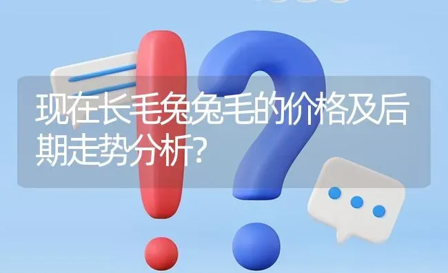 现在长毛兔兔毛的价格及后期走势分析? | 养殖问题解答