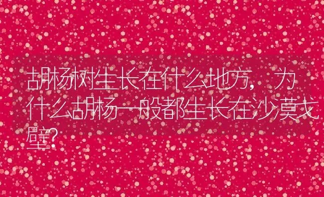 胡杨树生长在什么地方,为什么胡杨一般都生长在沙漠戈壁? | 养殖常见问题