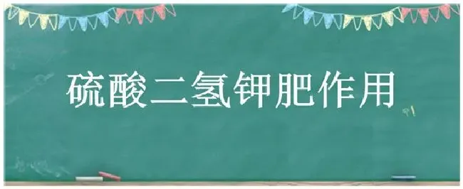 硫酸二氢钾肥作用 | 三农答疑