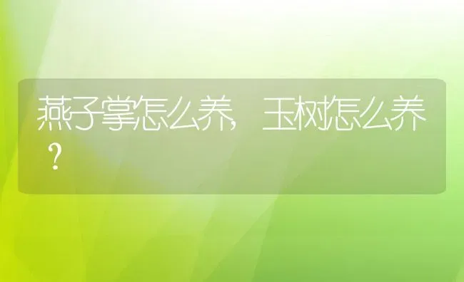 燕子掌怎么养,玉树怎么养？ | 养殖常见问题