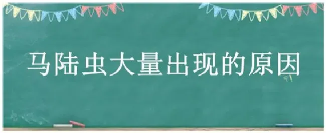 马陆虫大量出现的原因 | 农业问题