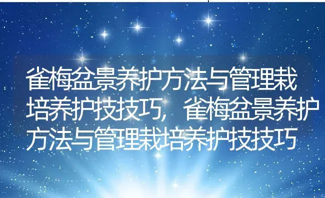 雀梅盆景养护方法与管理栽培养护技技巧,雀梅盆景养护方法与管理栽培养护技技巧 | 养殖常见问题