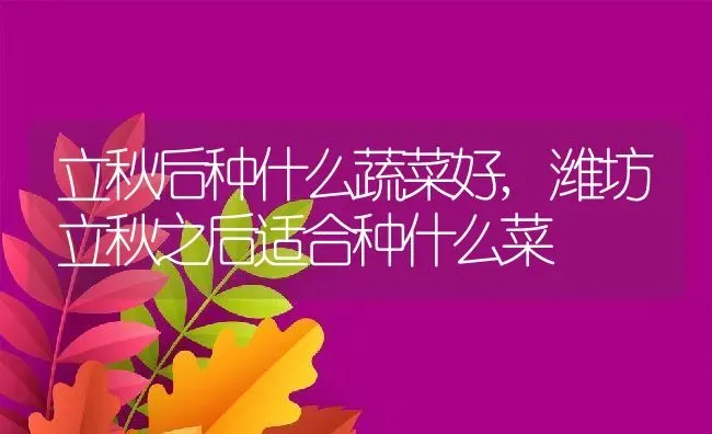 立秋后种什么蔬菜好,潍坊立秋之后适合种什么菜 | 养殖常见问题