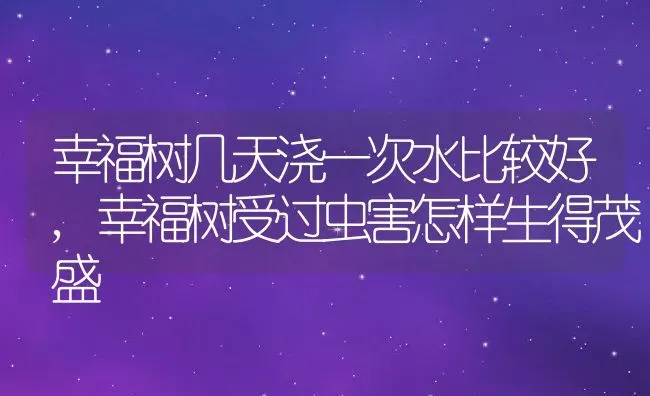 幸福树几天浇一次水比较好,幸福树受过虫害怎样生得茂盛 | 养殖常见问题