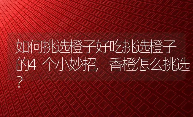 如何挑选橙子好吃挑选橙子的4个小妙招,香橙怎么挑选？ | 养殖常见问题