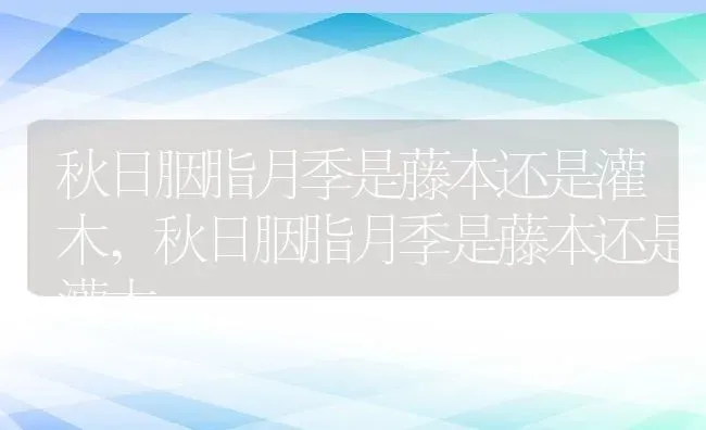 秋日胭脂月季是藤本还是灌木,秋日胭脂月季是藤本还是灌木 | 养殖常见问题