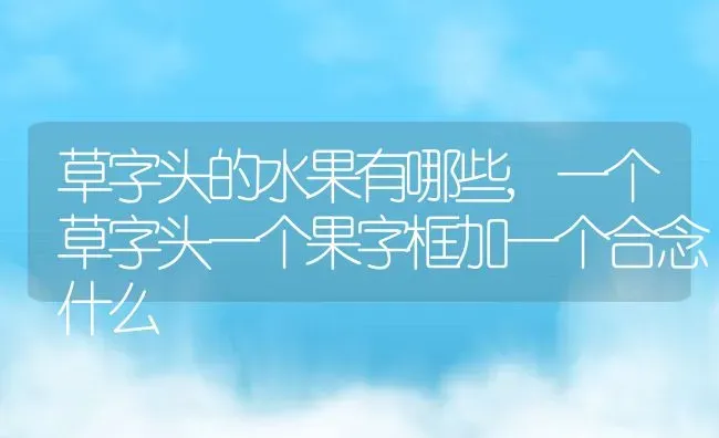 草字头的水果有哪些,一个草字头一个果字框加一个合念什么 | 养殖常见问题