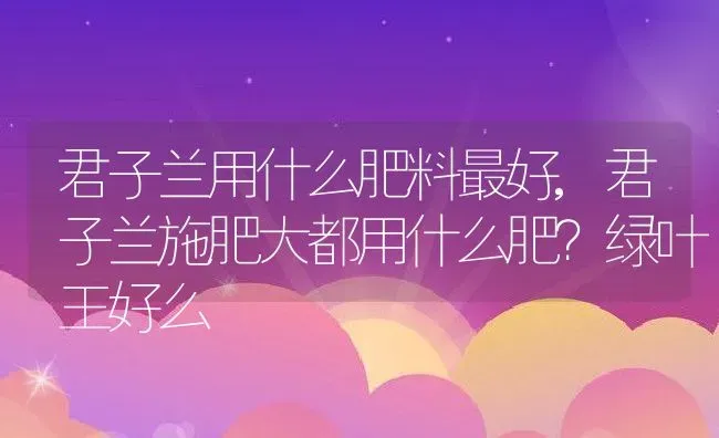 君子兰用什么肥料最好,君子兰施肥大都用什么肥？绿叶王好么 | 养殖常见问题