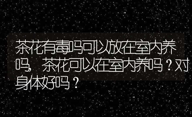 茶花有毒吗可以放在室内养吗,茶花可以在室内养吗？对身体好吗？ | 养殖常见问题