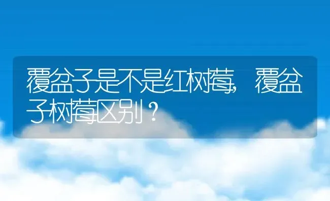 覆盆子是不是红树莓,覆盆子树莓区别？ | 养殖常见问题