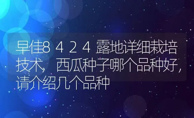 早佳8424露地详细栽培技术,西瓜种子哪个品种好，请介绍几个品种 | 养殖常见问题