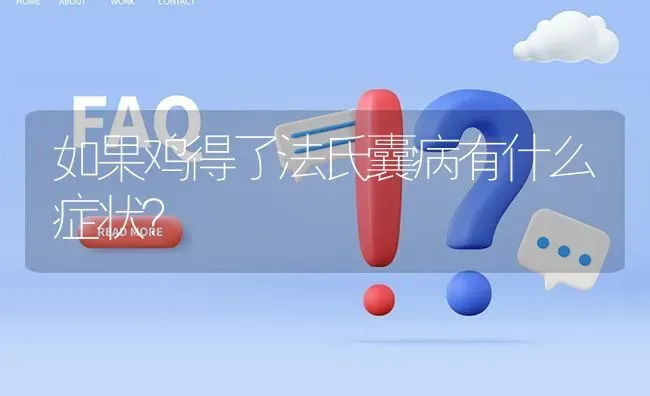 如果鸡得了法氏囊病有什么症状? | 养殖问题解答