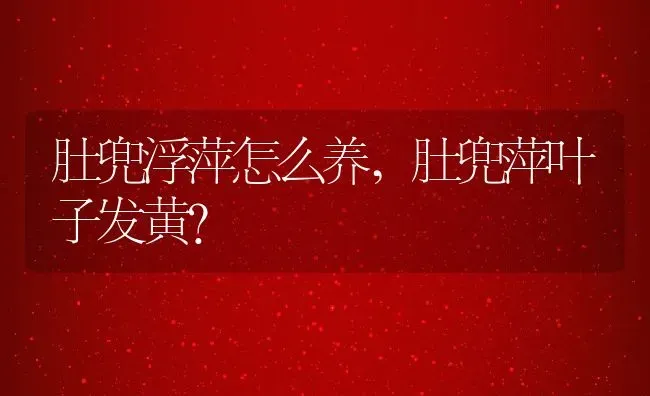肚兜浮萍怎么养,肚兜萍叶子发黄？ | 养殖常见问题