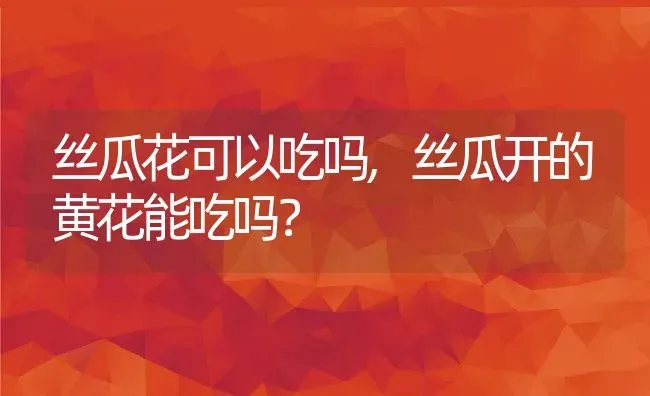 丝瓜花可以吃吗,丝瓜开的黄花能吃吗？ | 养殖常见问题