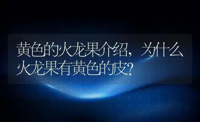 黄色的火龙果介绍,为什么火龙果有黄色的皮？ | 养殖常见问题