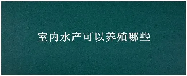 室内水产可以养殖哪些 | 农业常识