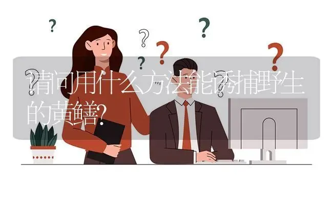 请问用什么方法能诱捕野生的黄鳝? | 养殖问题解答