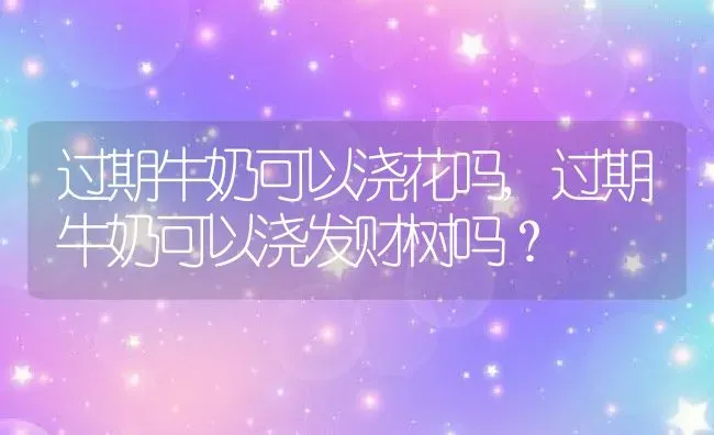 过期牛奶可以浇花吗,过期牛奶可以浇发财树吗？ | 养殖常见问题